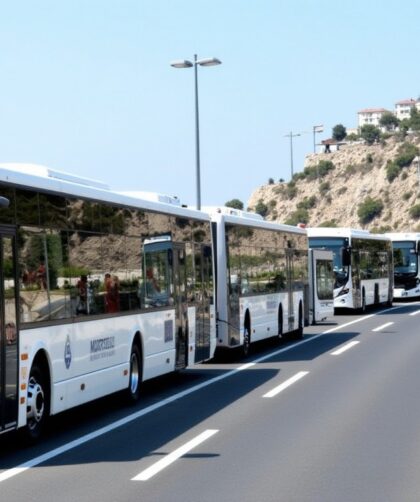 Marseille - Toulon : guide complet sur le trajet, la durée et les moyens de transport disponibles